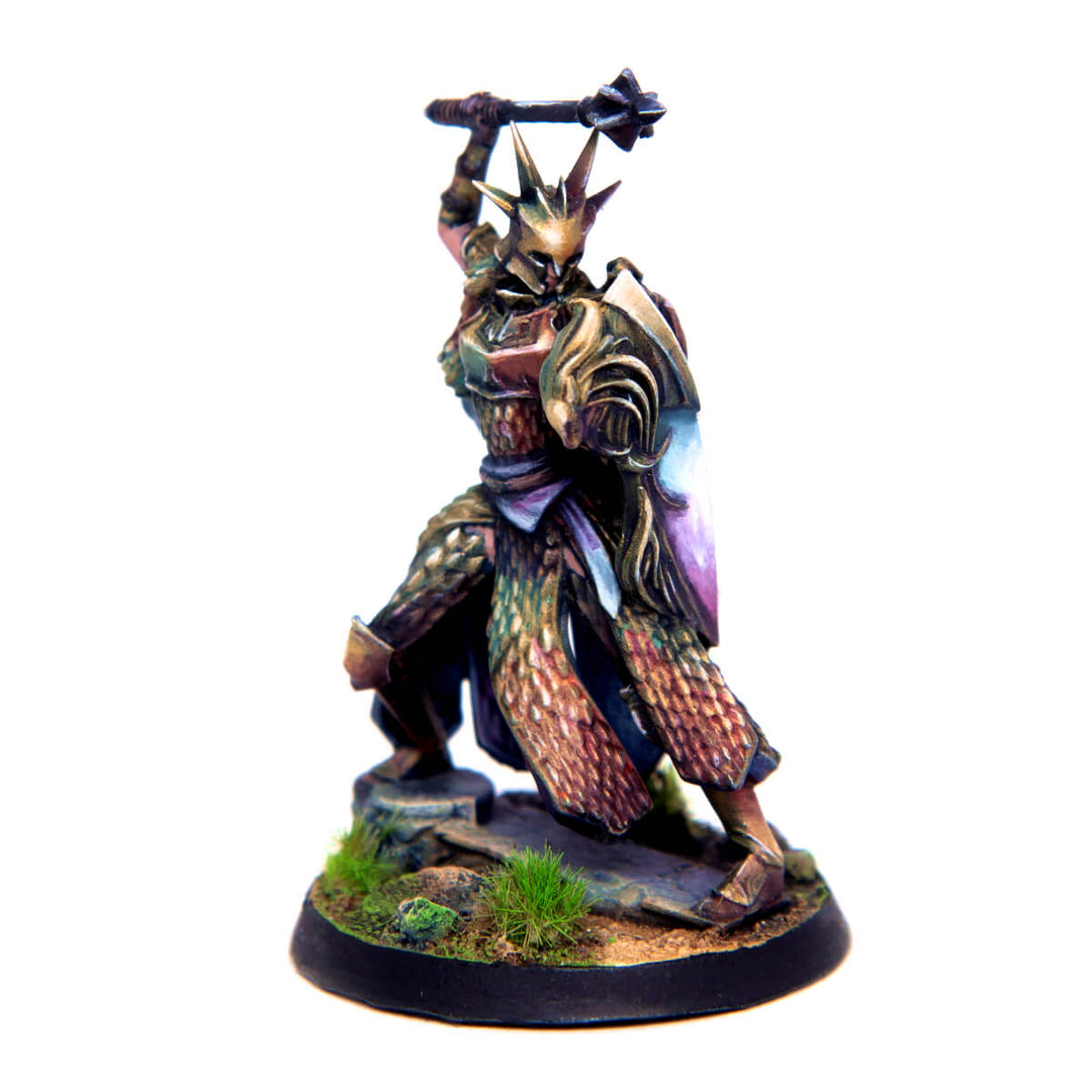 Citadel Guard