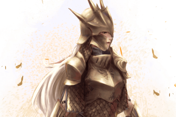 Citadel Guard