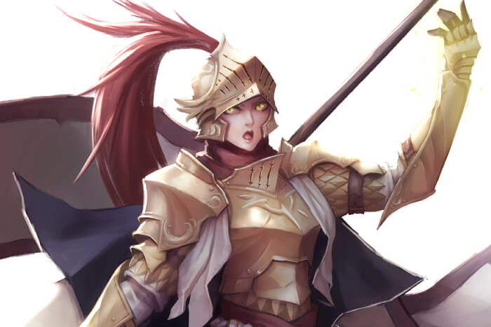 PALADIN OF THE ORDER