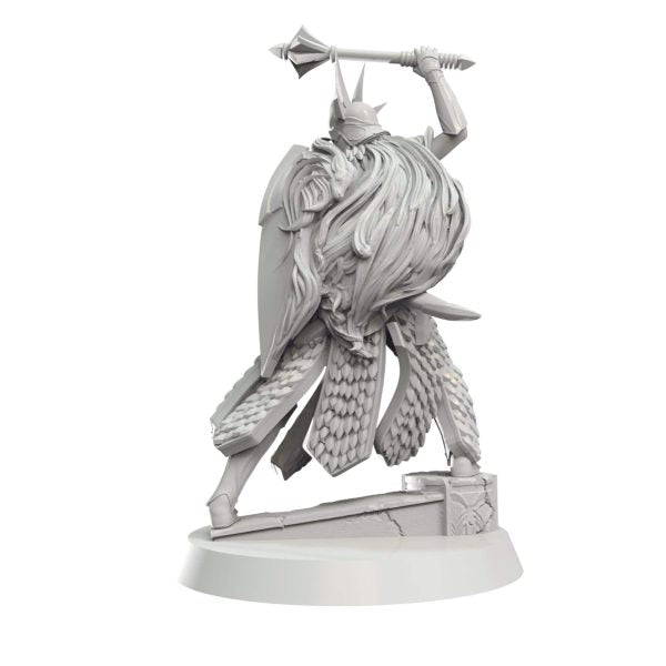 Citadel Guard