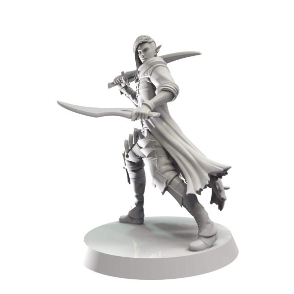 Thenrin Swashbuckler