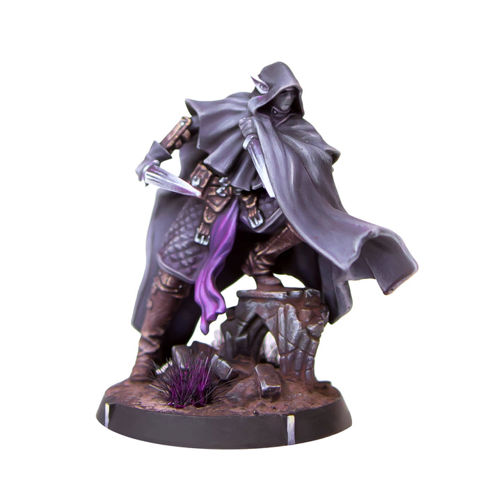 Reinforcements Pack: Queen's Blade