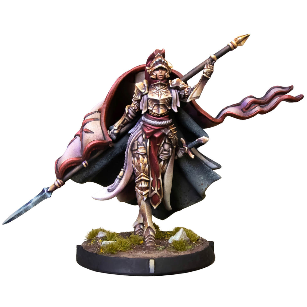 PALADIN OF THE ORDER