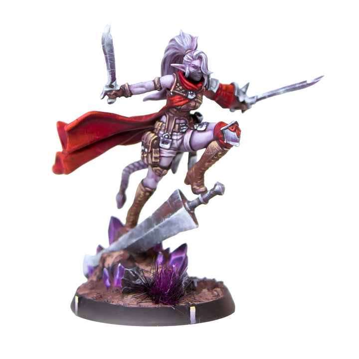 Reinforcements Pack: Queen's Blade